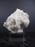 The Postiano Coral by Filipiniana image 0