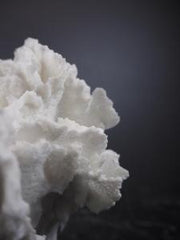 The Postiano Coral by Filipiniana image 1