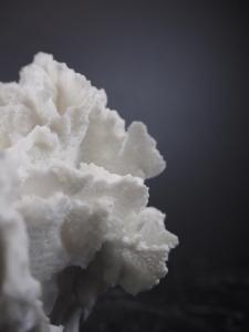 The Postiano Coral by Filipiniana image 1